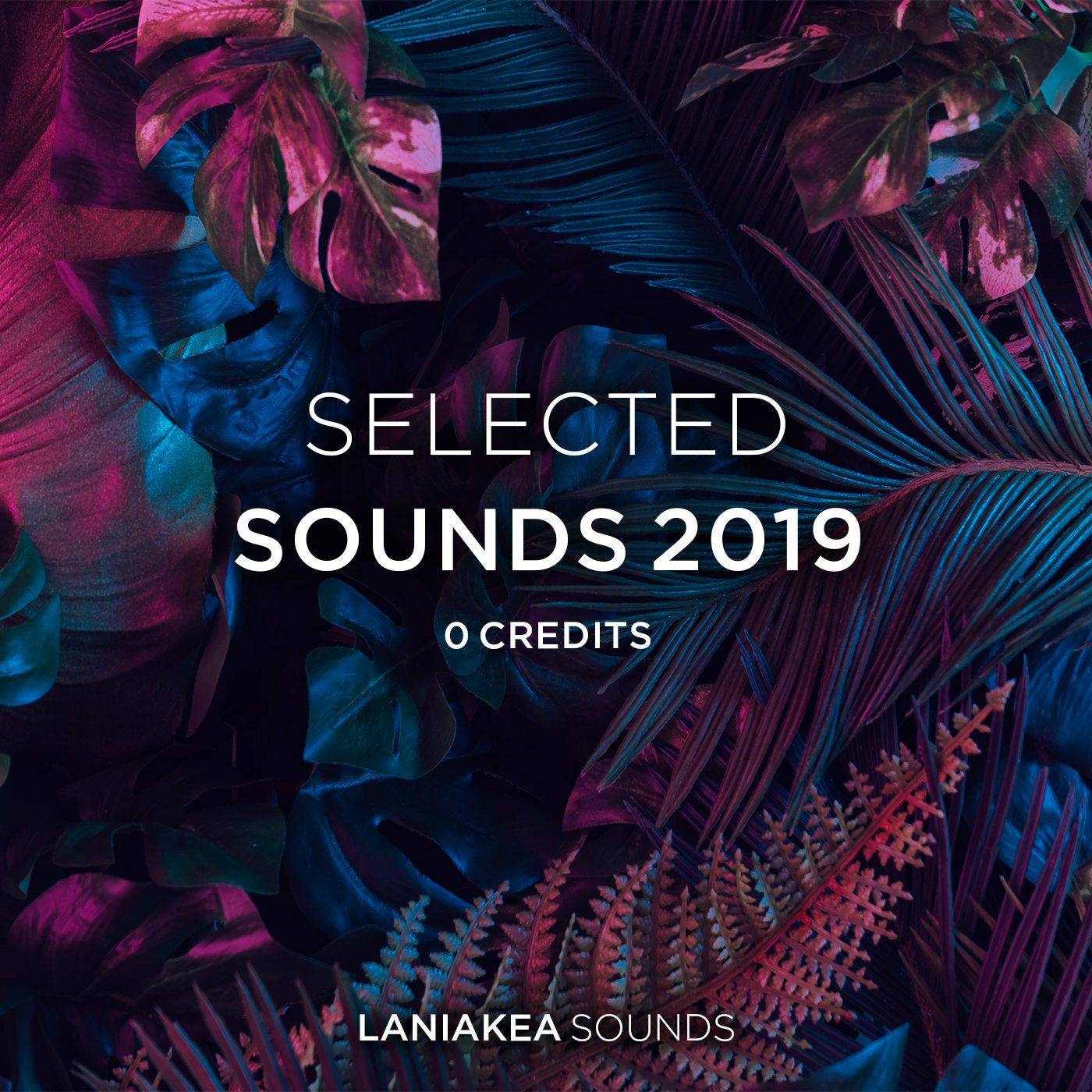 Selected Sounds 2019 - 0 Credits