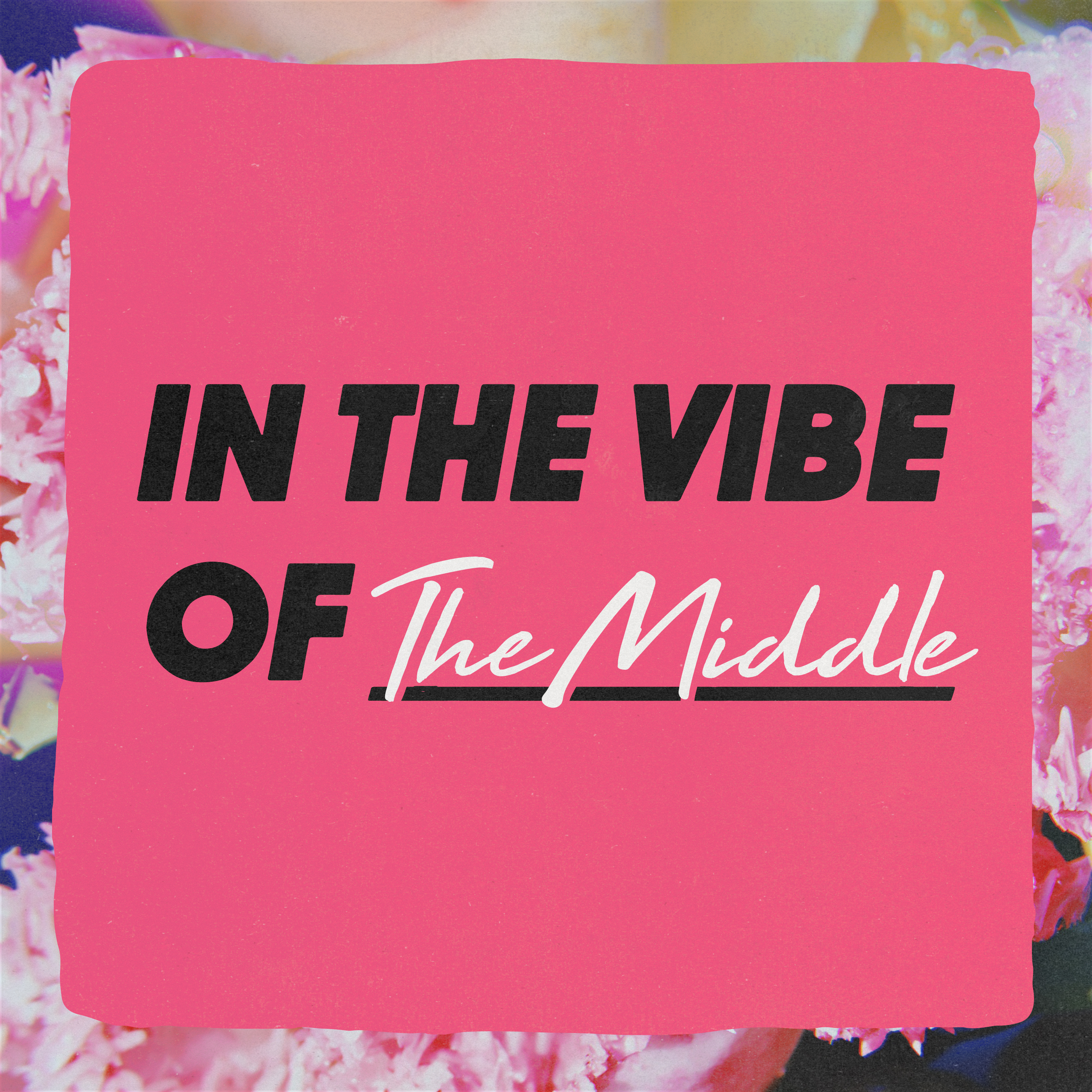 In The Vibe Of - The Middle