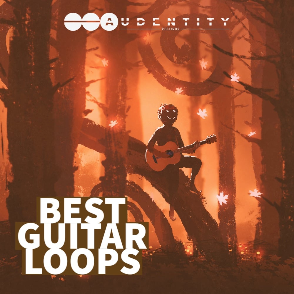 Best Guitar Loops