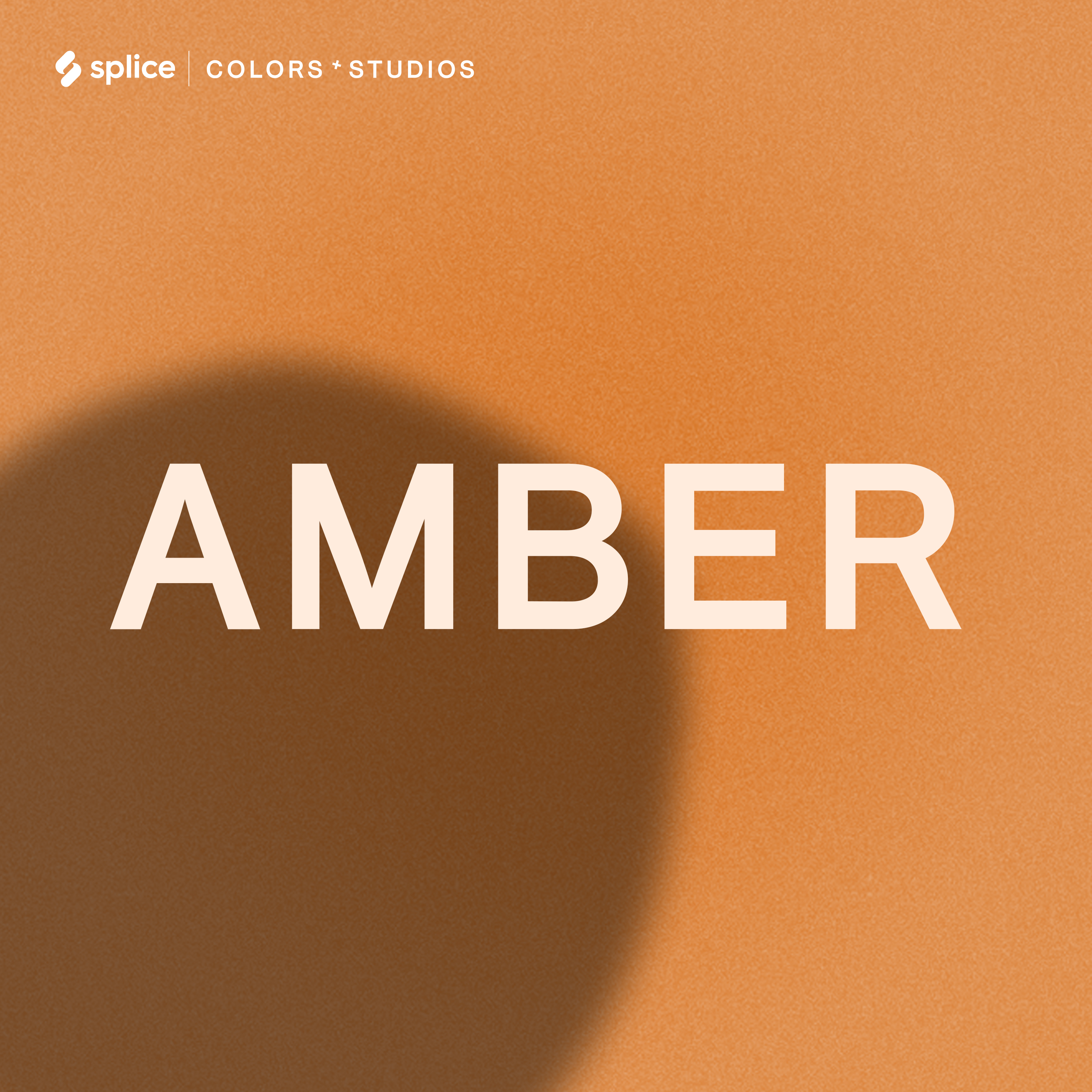 COLORS Presents: AMBER